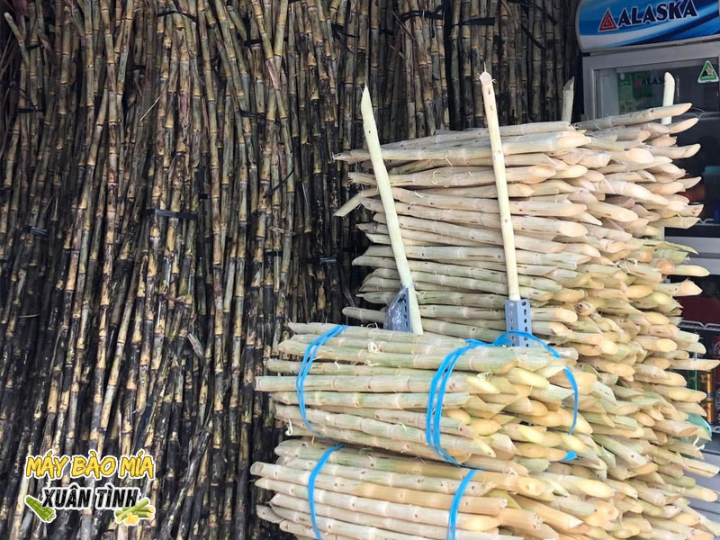 Chi phí đầu tư máy cạo vỏ mía có hợp lý cho quán nhỏ không? Chi phí đầu tư máy cạo vỏ mía có hợp lý cho quán nhỏ không?