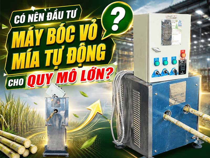 Có nên đầu tư máy bóc vỏ mía tự động cho quy mô lớn? Có nên đầu tư máy bóc vỏ mía tự động cho quy mô lớn?